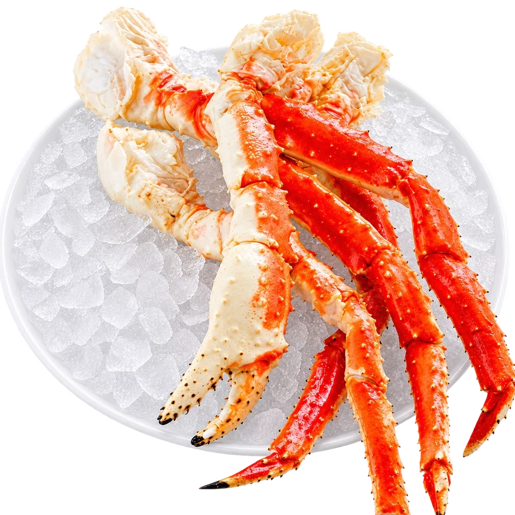SM KING CRAB X Libra